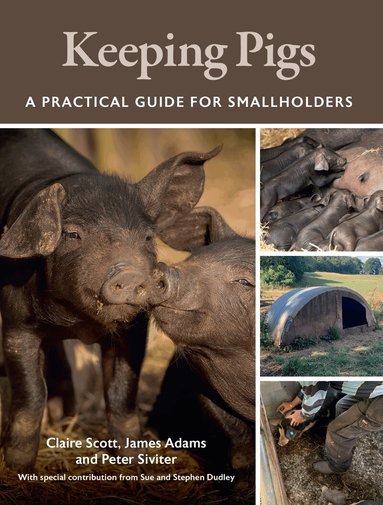 Claire Scott, James Adams, Peter Siviter - Keeping Pigs, Häftad