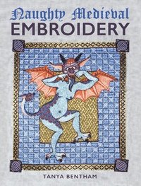 bokomslag Naughty Medieval Embroidery