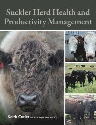 bokomslag Suckler Herd Health and Productivity Management