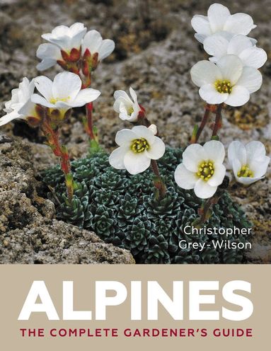 Christopher Grey Wilson - Alpines, Inbunden