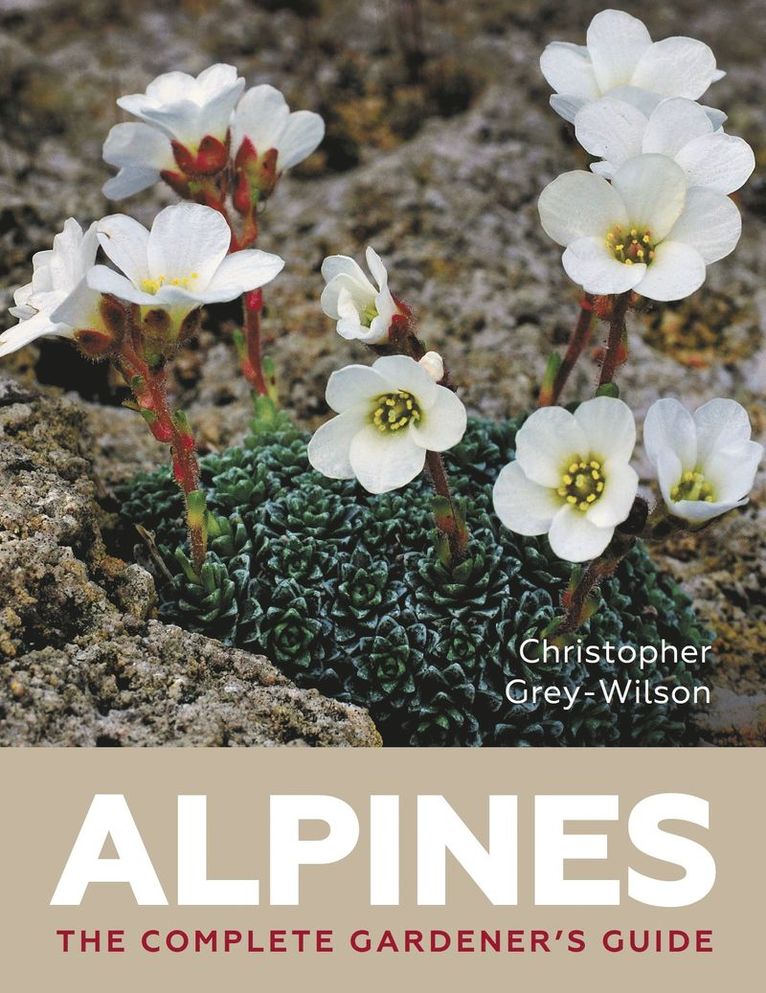 Christopher Grey Wilson, Christopher Grey-Wilson - Alpines, Inbunden
