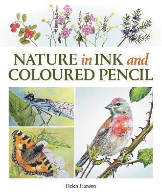 Helen Hanson - Nature in Ink and Coloured Pencil, Häftad