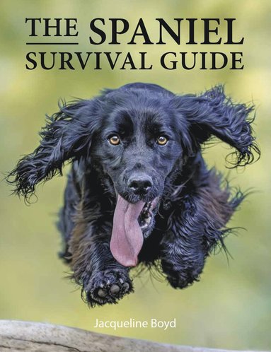 bokomslag Spaniel Survival Guide