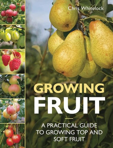 Chris Whitelock - Growing Fruit, Häftad