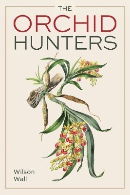bokomslag Orchid Hunters