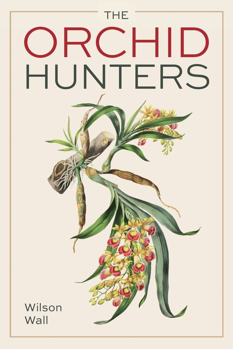 Wilson Wall - Orchid Hunters, Häftad