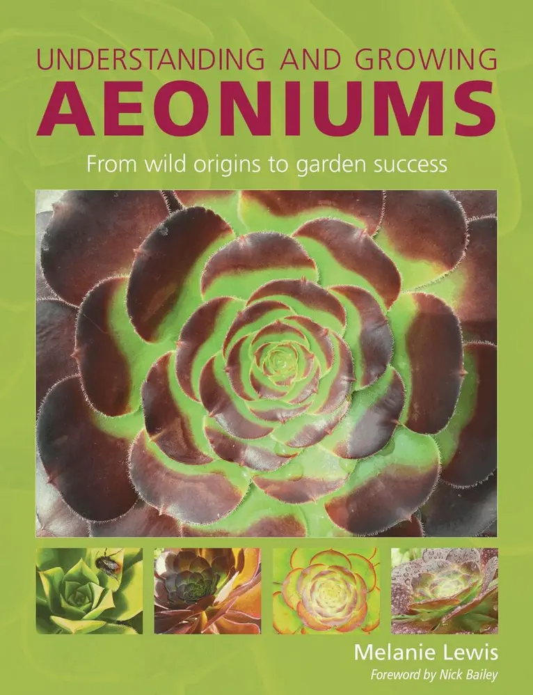 Understanding and Growing Aeoniums