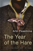 bokomslag Year of the Hare