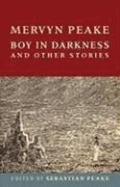 bokomslag Boy in Darkness and Other Stories