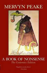 bokomslag Book of Nonsense