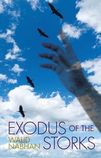 bokomslag Exodus of the Storks