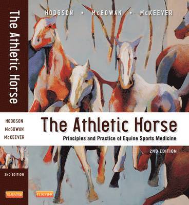 The Athletic Horse 1