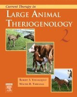 Robert S. Youngquist, Walter R. Threlfall - Current Therapy in Large Animal Theriogenology, Inbunden