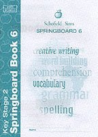 bokomslag Springboard Book 6