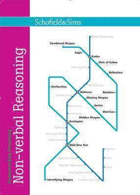 Rebecca Brant, Carolyn Richardson - Understanding Reasoning: Non-verbal Reasoning, Häftad
