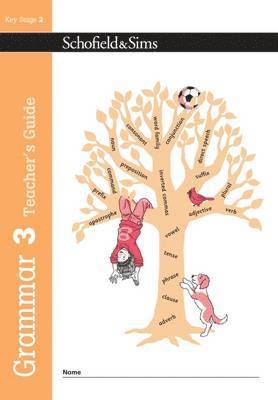 bokomslag Grammar 3 Teacher's Guide
