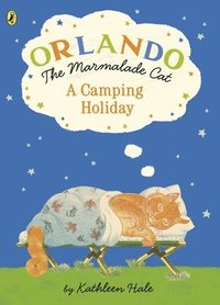 bokomslag Orlando the Marmalade Cat: A Camping Holiday