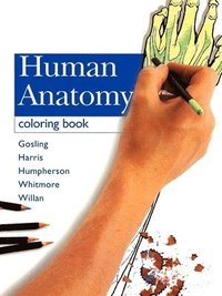 bokomslag Human Anatomy Coloring Book