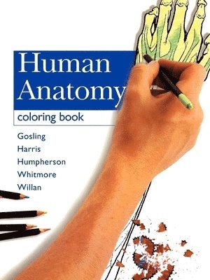 Human Anatomy Coloring Book 1