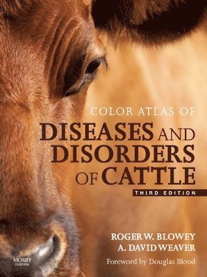 Roger Blowey, A. David Weaver - Color Atlas of Diseases and Disorders of Cattle Text and Evolve eBooks Package, Inbunden