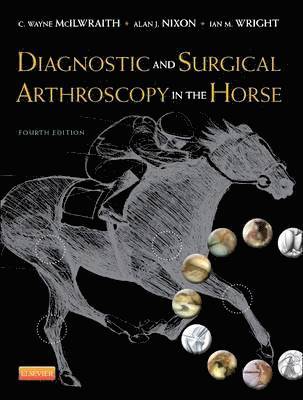 bokomslag Diagnostic and Surgical Arthroscopy in the Horse