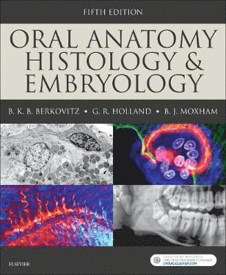 Barry K B Berkovitz, G R Holland, Bernard J Moxham - Berkovitz, B: Oral Anatomy, Histology and Embryology, Häftad