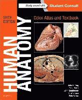 bokomslag Human Anatomy, Color Atlas and Textbook