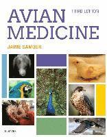 bokomslag Avian Medicine