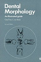 Dental Morphology