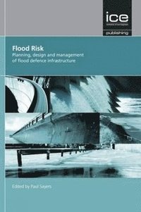 bokomslag Flood Risk