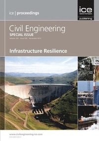 bokomslag Infrastructure Resilience