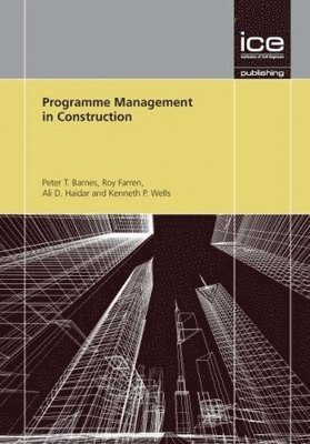 bokomslag Programme Management in Construction