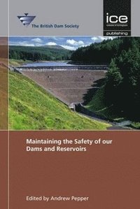 bokomslag Maintaining the Safety of our Dams and Reservoirs