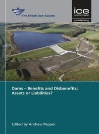 bokomslag Dams - Benefits and Disbenefits; Assets or Liabilities?