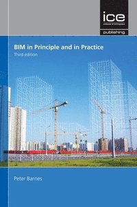 bokomslag BIM in Principle and in Practice
