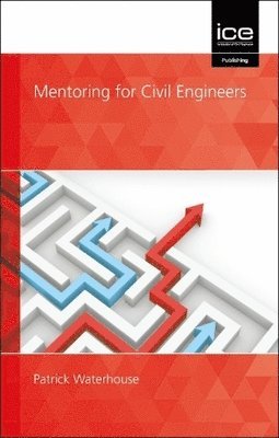 bokomslag Mentoring for Civil Engineers