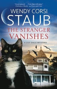 bokomslag The Stranger Vanishes