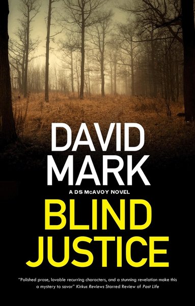David Mark - Blind Justice, Inbunden