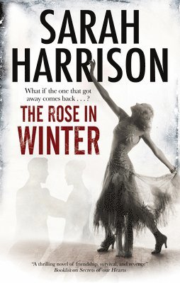 The Rose in Winter 1