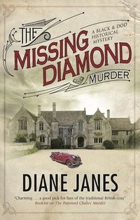bokomslag The Missing Diamond Murder