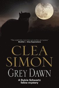 bokomslag Grey Dawn