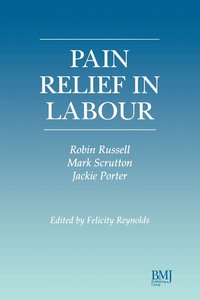bokomslag Pain Relief in Labour
