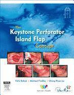 bokomslag The Keystone Island Flap Concept in Reconstructive Surgery