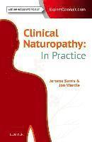 bokomslag Clinical Naturopathy: In Practice