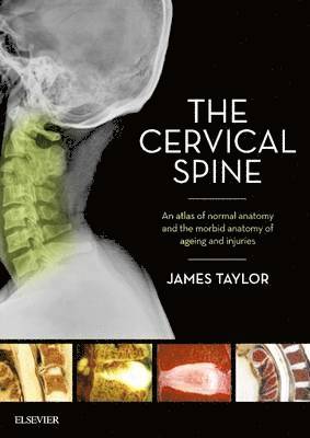 bokomslag Cervical Spine