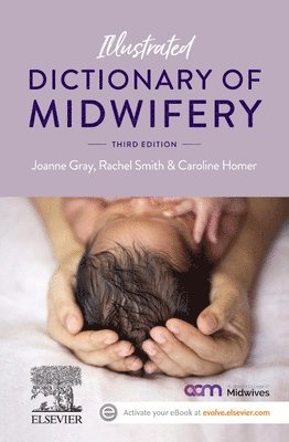 bokomslag Illustrated Dictionary of Midwifery