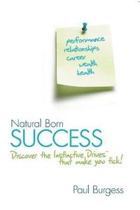 bokomslag Natural Born Success