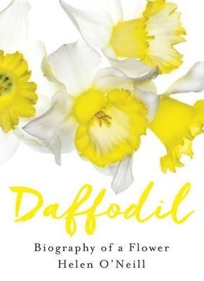 Helen O'Neill - Daffodil, Inbunden