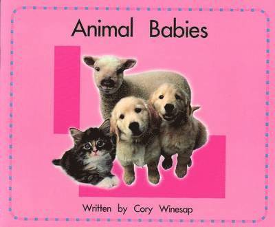 Springboard Lvl 3e: Animal Babies, Häftad