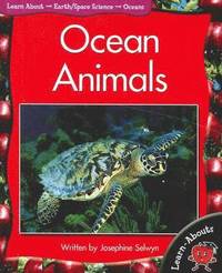 bokomslag Learnabouts Lvl 2: Ocean Animals